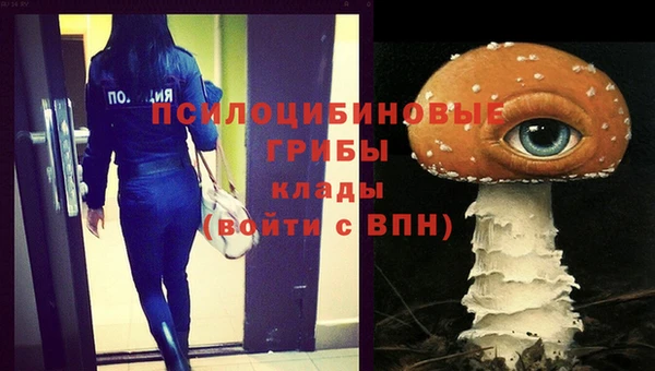 мдма Киреевск